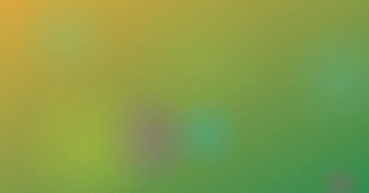 男女午夜福利是什么：说清楚